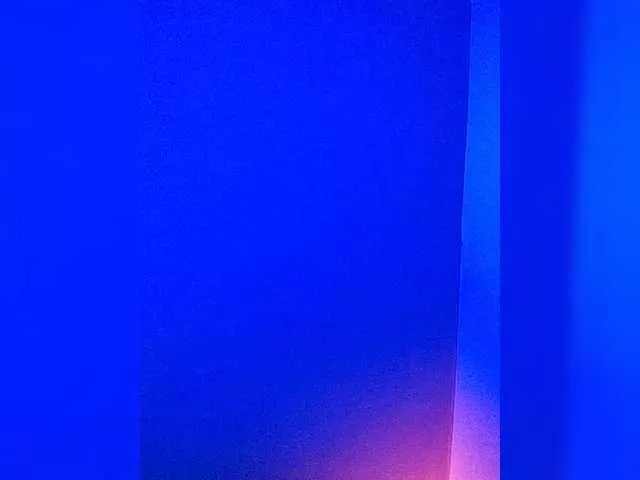 Offline -VULPECULA- on BongaCams