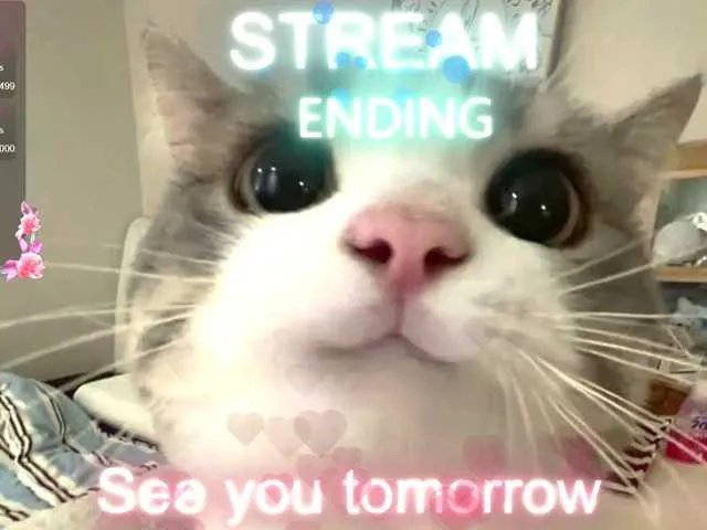 Offline CrazyWine on BongaCams