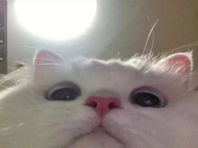 Offline CrazyWine on BongaCams