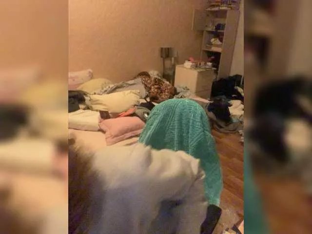 Offline Diebog on BongaCams