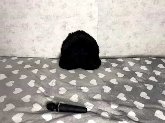 Offline KittyNolick on BongaCams