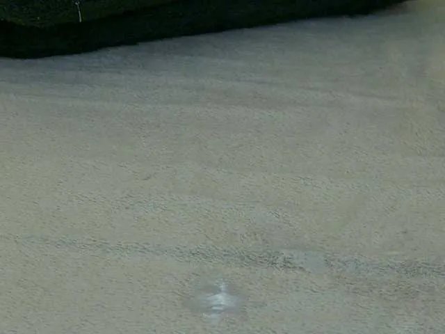 Offline LeyaCass on BongaCams