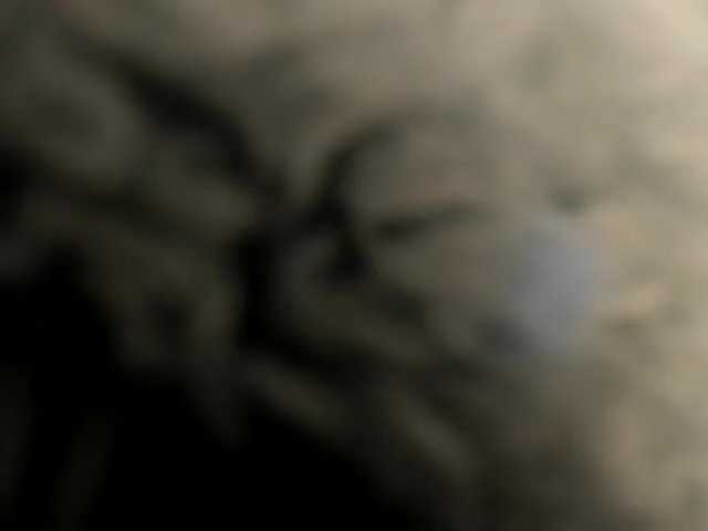 Offline MaddieParker on BongaCams