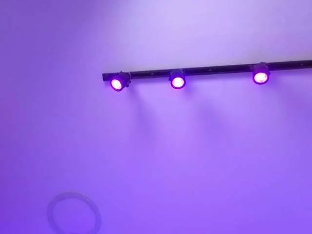 Offline MaiaWatson on BongaCams