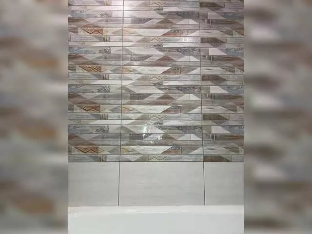 Offline Model2021 on BongaCams