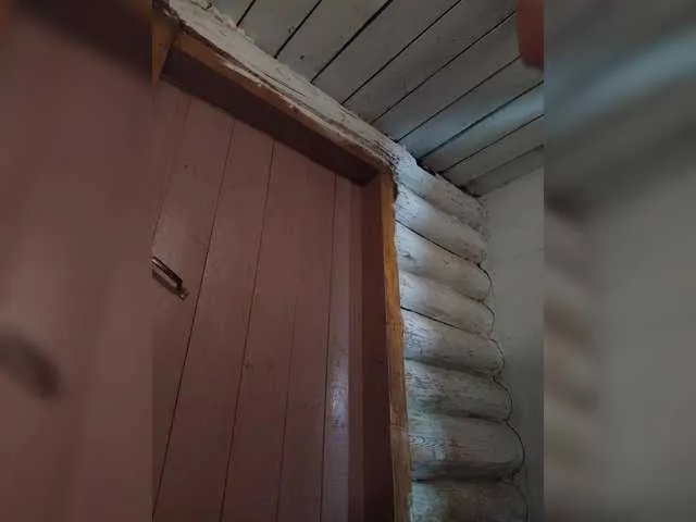 Freechat Mussypussy222 on BongaCams