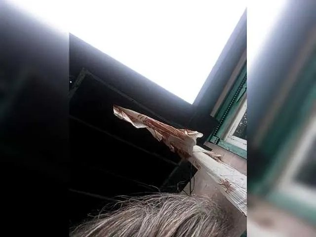 Freechat NormaHall on BongaCams