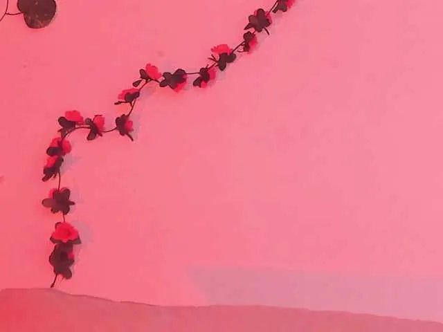 Offline Pamela-Velvet on BongaCams