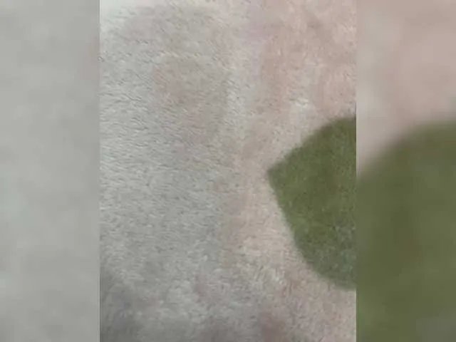 Offline puppy19 on BongaCams