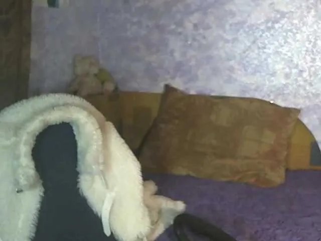 Offline SoftGella on BongaCams