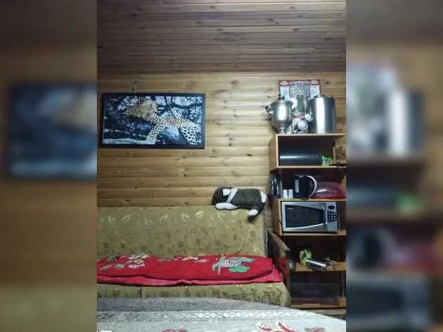 Offline Swit777 on BongaCams