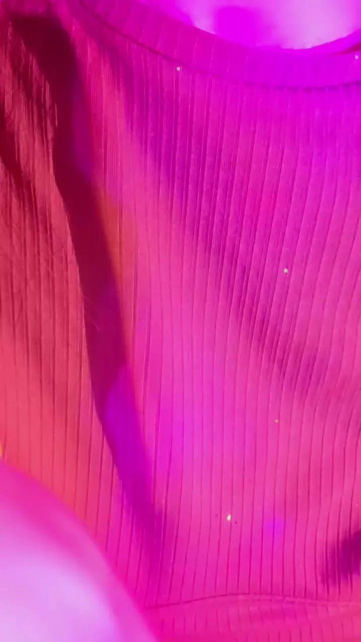 Offline Aloneathome22 on Cam4