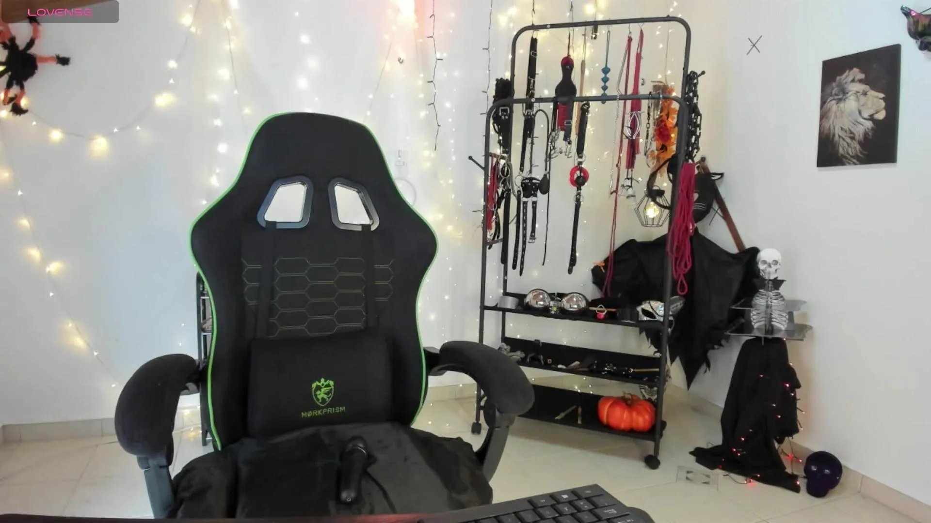 Offline Arianna_connor1 on Cam4