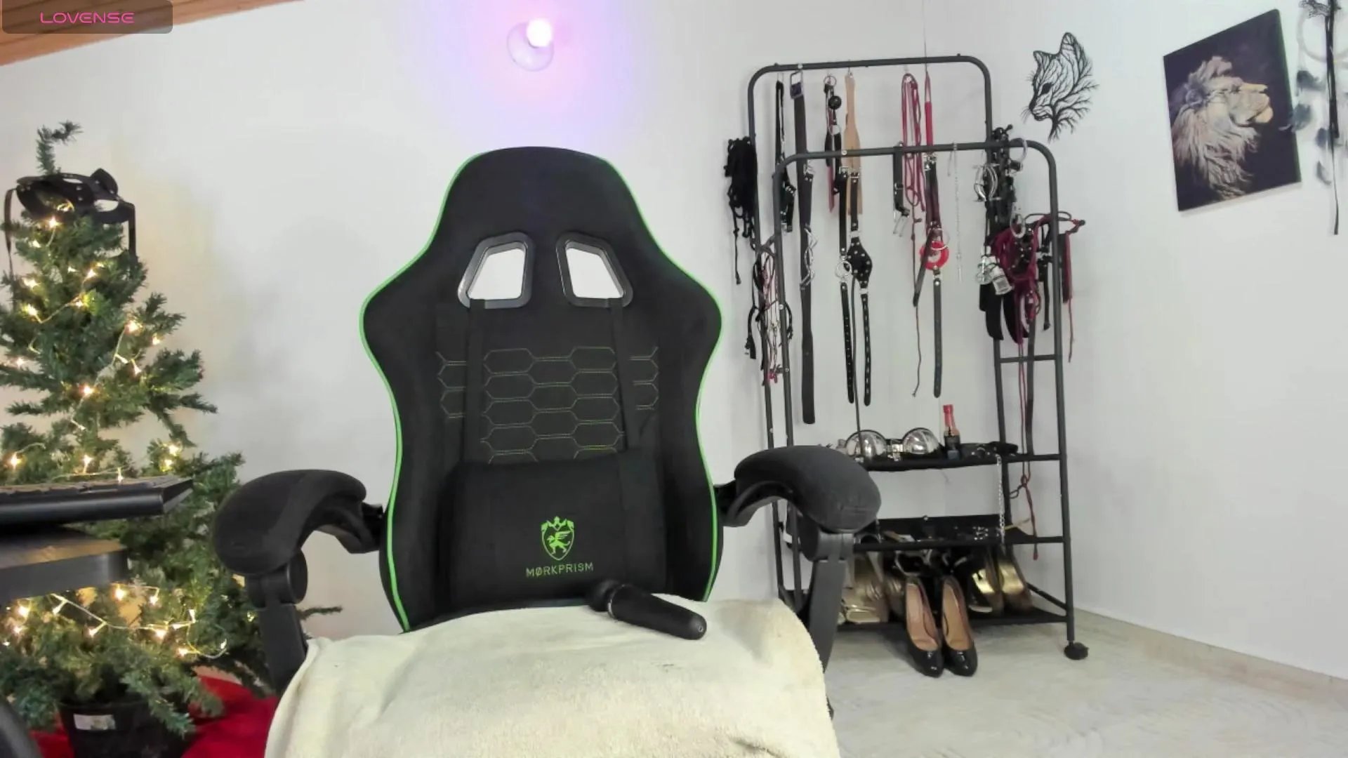 Offline Arianna_connor1 on Cam4