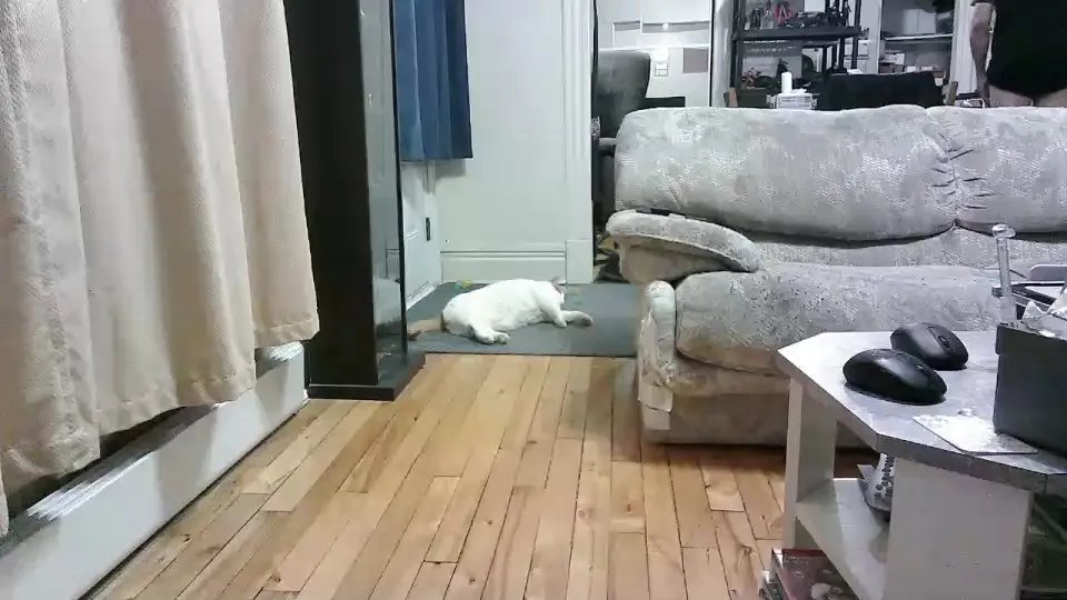 Freechat batmike on Cam4