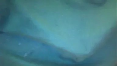 Offline bernd68 on Cam4