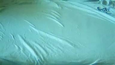 Offline bernd68 on Cam4