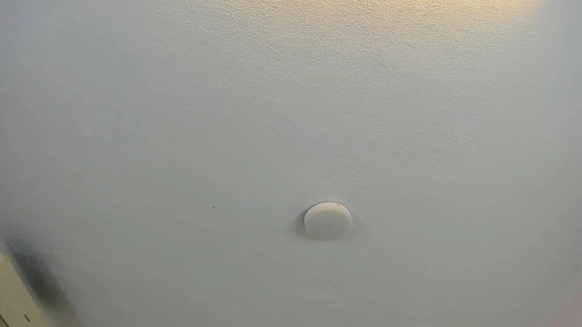 Freechat brittany069 on Cam4