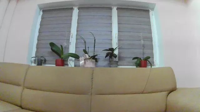 Freechat have_funnn on Cam4