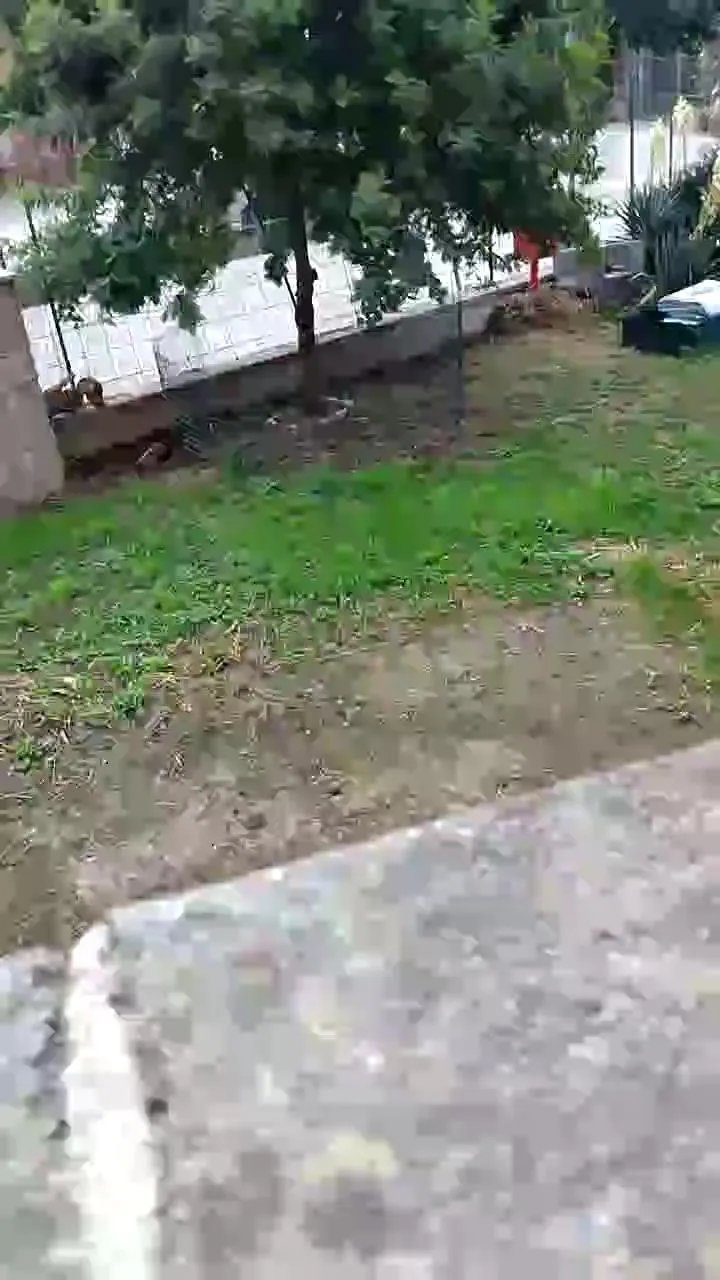 Offline luxxuriax on Cam4