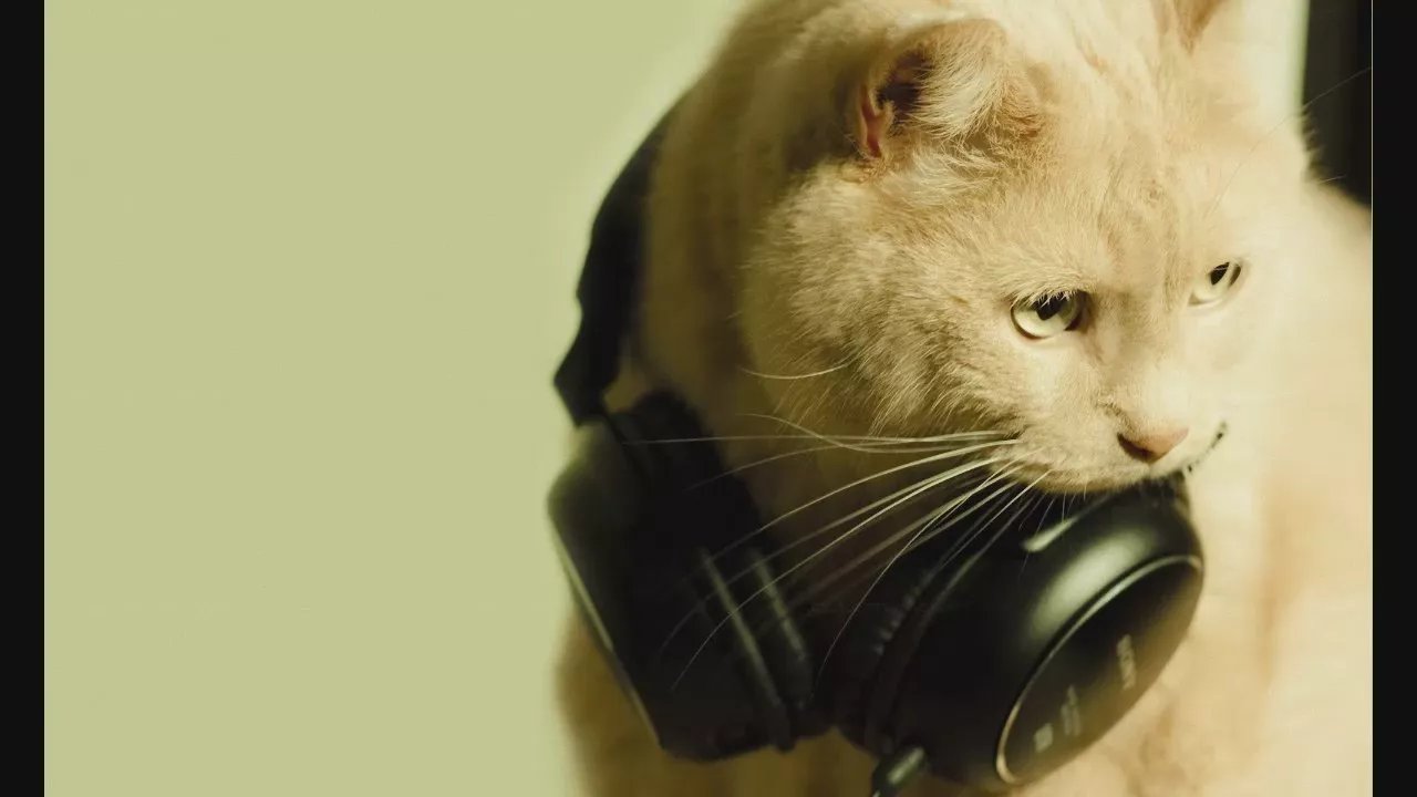 Offline M_Vikki on Cam4