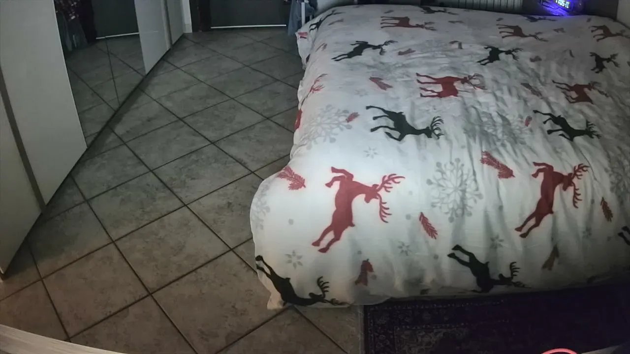 Offline moniba on Cam4