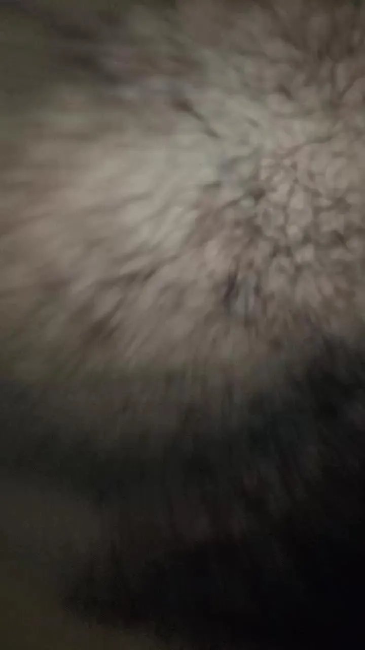 Offline MONSTER777DADDY on Cam4