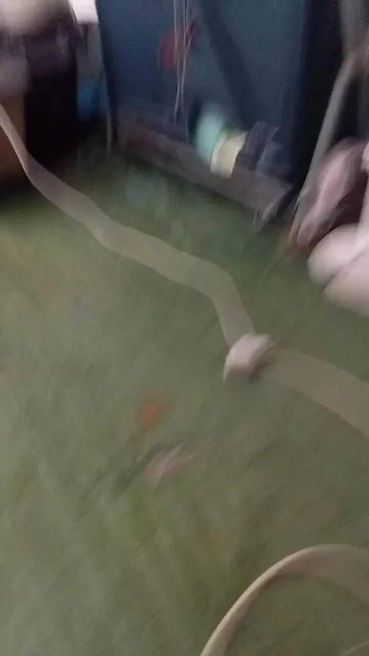 Offline Petitebombe34 on Cam4