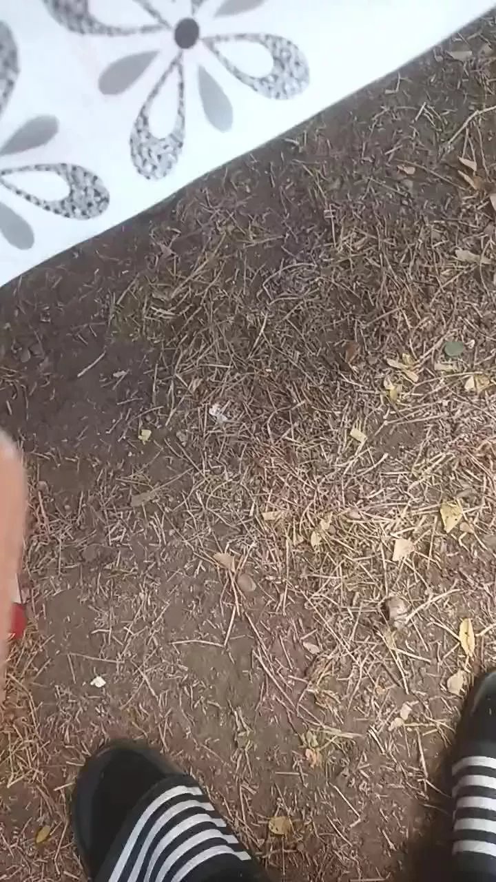 Offline Petitebombe34 on Cam4