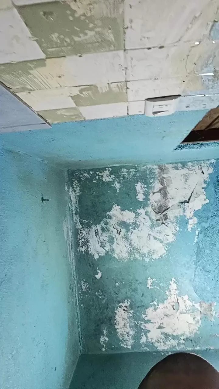 Offline Pollaaac4 on Cam4