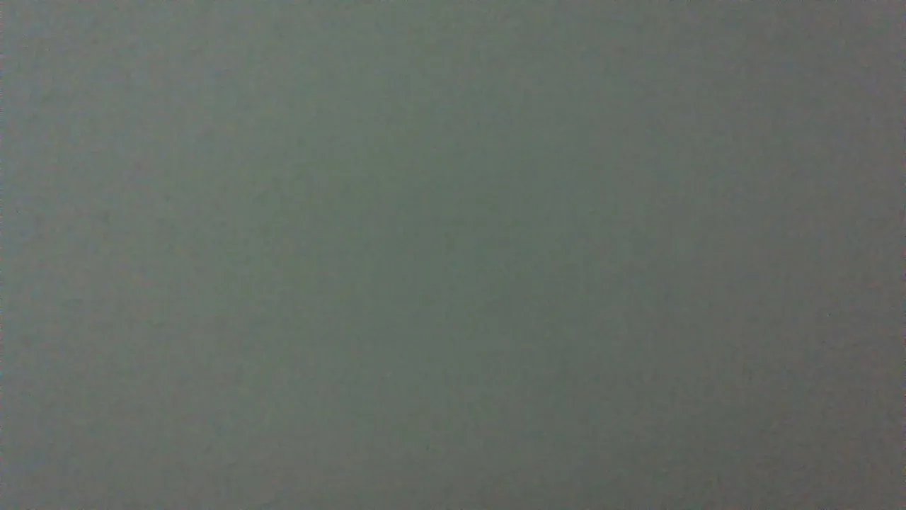 Offline servasluan on Cam4