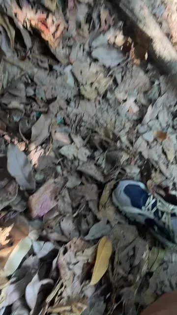 Offline wagnermourae on Cam4