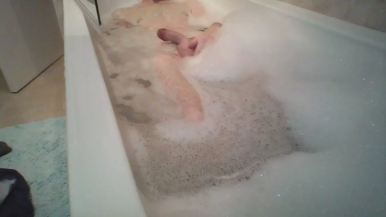 Offline Webster2024 on Cam4