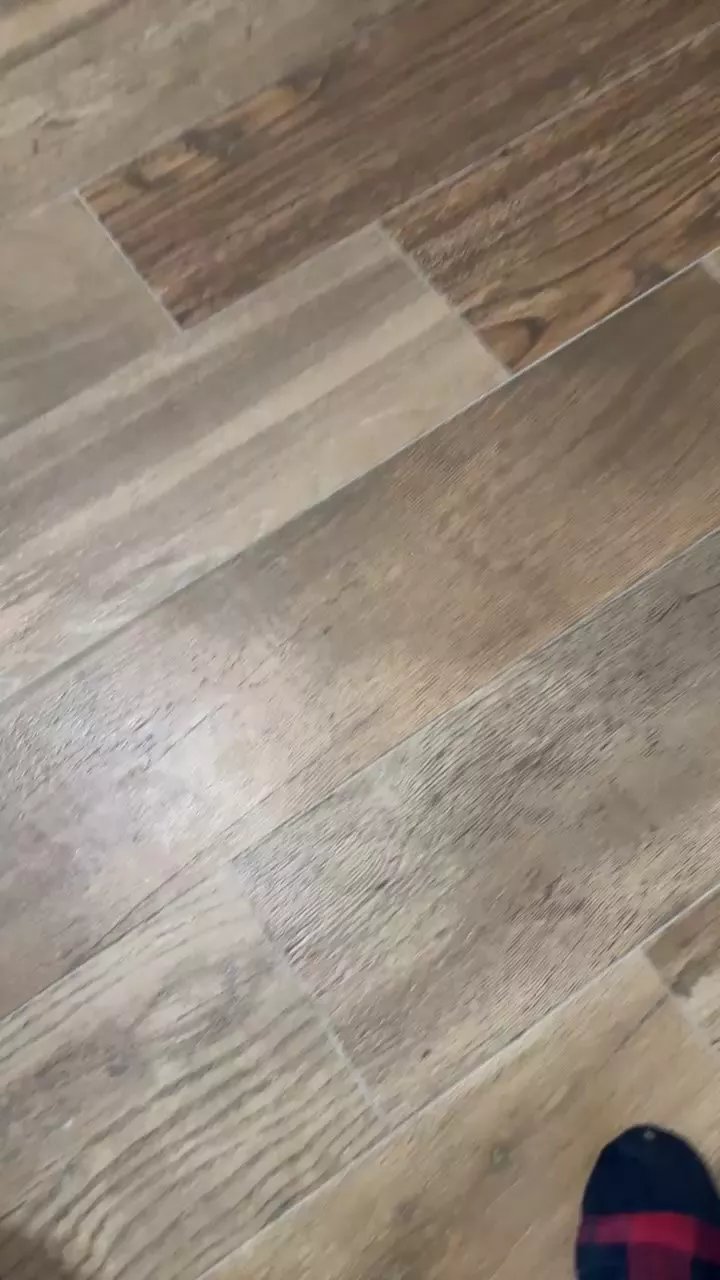 Offline Zorro2024 on Cam4