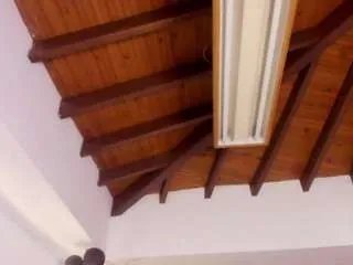 Freechat chubby-sexy on CamSoda