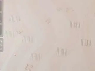 Offline indianbeautiful on CamSoda