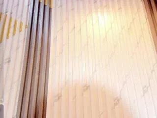 Offline katherynvidal on CamSoda