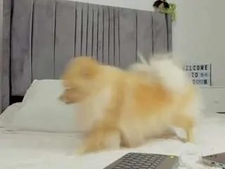 Offline laurelmillstone on CamSoda