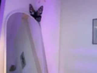 Offline melannieocean1 on CamSoda