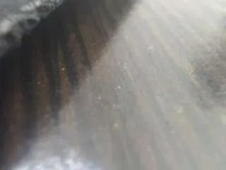 Offline nei-girl on CamSoda