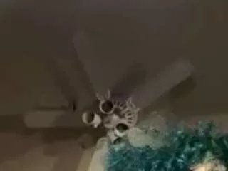 Offline universethadon on CamSoda