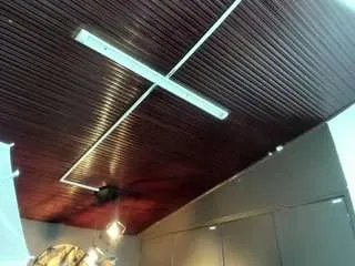 Offline valneeko on CamSoda