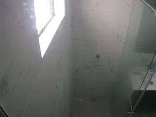 Offline voyeurcam-casa-salsa-bathroom-13 on CamSoda