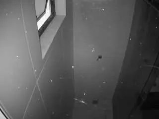 Offline voyeurcam-casa-salsa-bathroom-13 on CamSoda