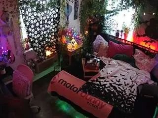 Freechat voyeurcam-veccasalt-01 on CamSoda