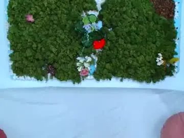 Freechat deliciaalove on Chaturbate