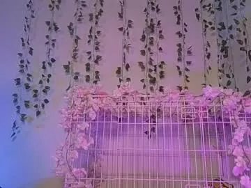 Freechat switchykitty on Chaturbate