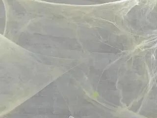 Offline jennifer_dumont on Flirt4Free