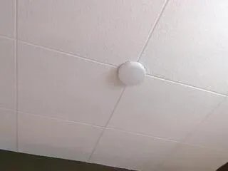 Offline paul_cambel on Flirt4Free