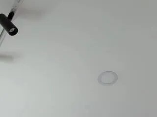 Offline tony_petrov on Flirt4Free